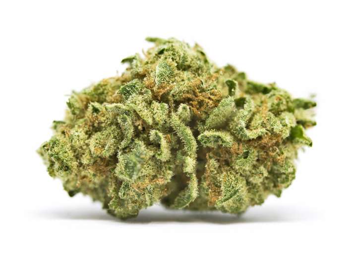 FBI and Secret Service agents deployed to handle $25 weed buys in DC