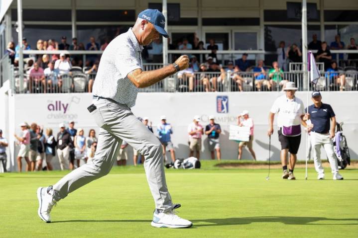 Stewart Cink successfully defends at The Ally, beating Ernie Els in a playoff