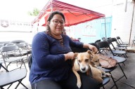 JORNADA DE ESTERILIZACIÓN CANINA EN LA COL. HANK GONZÁLEZ DE LA PAZ