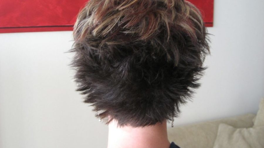Rumours Fly as Young Woman Gets a Haircut