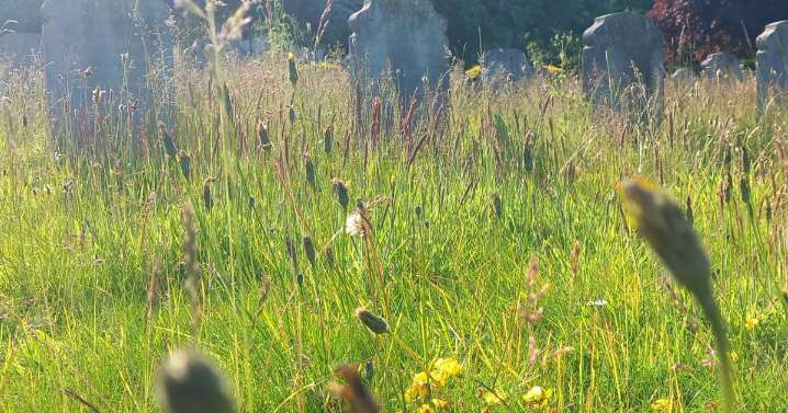 Contract awarded for cemetery storage compound building