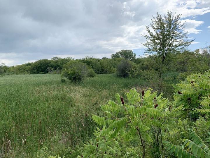 Kingston environmentalists call on the city to hire hydrogeologist
