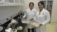 A 125 años de atender la sanidad vegetal, México se mantiene como referente