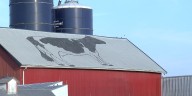 Kuehnert Dairy Farm’s annual Fall Festival to return in September