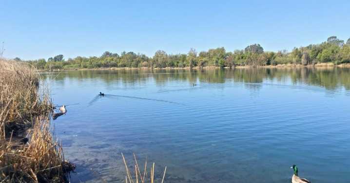 E. coli detected at Avocado Lake 