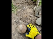 Vancouver woman unearths wartime explosive in backyard