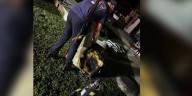 Firefighters put out apartment fire in Gainesville