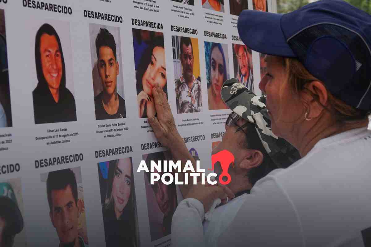 Avanza la selección del titular de la Comisión Nacional de Búsqueda: estos son los 26 perfiles