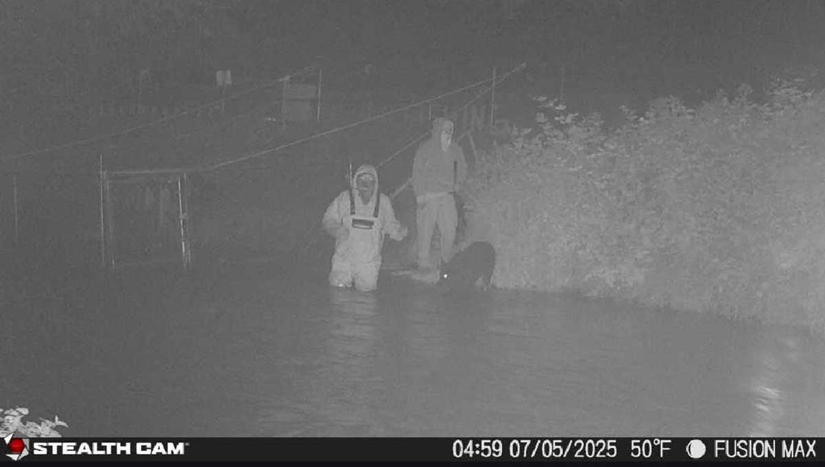 Oregon Wildlife Officials Hunt Poachers Who Vandalized Cameras and Stole Salmon From Jackson County Hatchery
