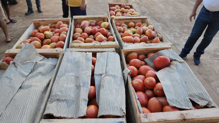 Contrabando: Salta y Nación coordinan para combatir el comercio ilegal de frutas y verduras