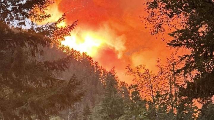 Bear Gulch Fire Grows to 8,368 Acres in Olympic National Forest; Containment at 3%