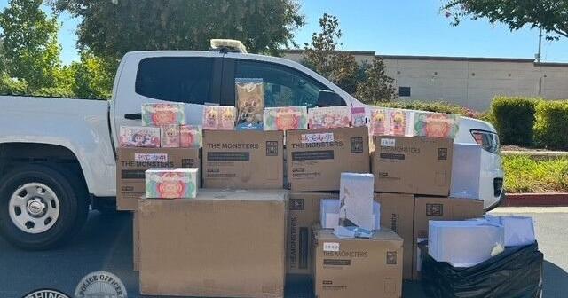 $30,000 worth of stolen Labubu dolls recovered by police