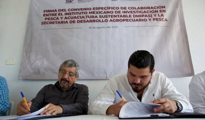 Entregan 3.5 millones de semillas de ostión a productores acuícolas de Tabasco