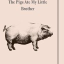 Niagara Falls native releases first novel