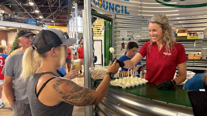 Iowa State Fair sets record for eggs on a stick given out