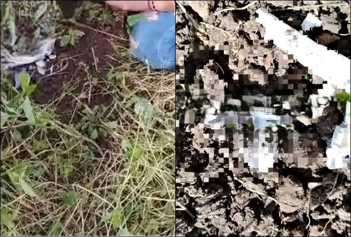 Madres buscadoras hallan restos óseos detrás de gasolinera en Punta de Mita