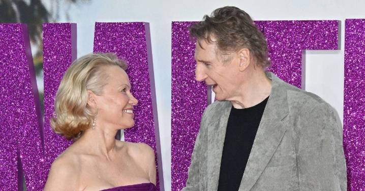 EXCLUSIVE: Liam Neeson 'Terrified' Pamela Anderson 'Doesn't Love' Him