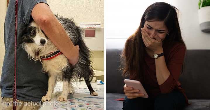 “Special Place In Hell For That One”: BF Dragged Online For Trying To Stealthily Euthanize GF’s Dog