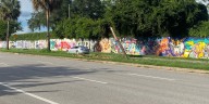 Car crashes into memorial tree honoring Gainesville student murders victims