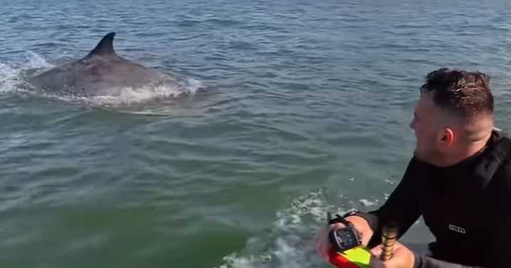Heart-warming moment Edinburgh watersports fans joined by 'chatty' dolphins