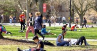 Illinois launches 'One Click' admissions for public colleges