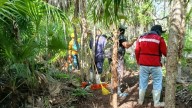 Implementan acciones para contener incendio en área natural de Holbox