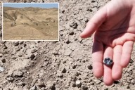 2.65 million-year-old fossil teeth unearthed in Ethiopia reveal new Homo species in human evolution