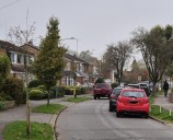 Plea to Kenilworth residents to water newly-plated trees amid heatwave | Local News 