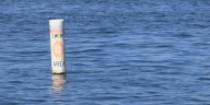 High levels of E. Coli detected at Park Lake Beach