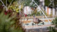 Albacete se cuece en la ola de calor: Casi 41 grados y subiendo