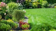 What You Should Know Before Aerating Your Lawn By Hand