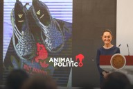 Sheinbaum alista nueva ley para proteger a artesanos tras plagio de calzado de Oaxaca por Adidas