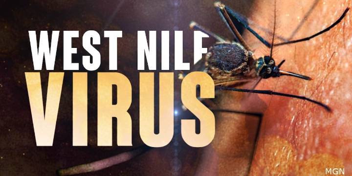 First West Nile Virus case of 2025 recorded in Dane County