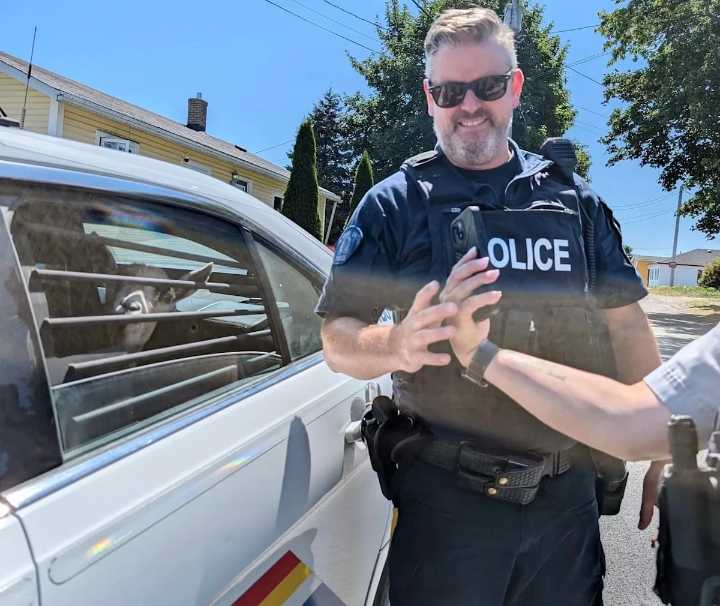 How are animals evacuating N.L. wildfires? These goats caught a ride with the Mounties