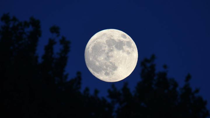 Video | Esto es lo que pasaría si la Luna no existiera: ¿qué cambiaría? - Canal 1