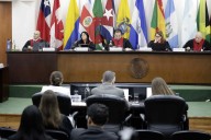 Familia pide a la CorteIDH justicia para niña fallecida en un parque público en Argentina