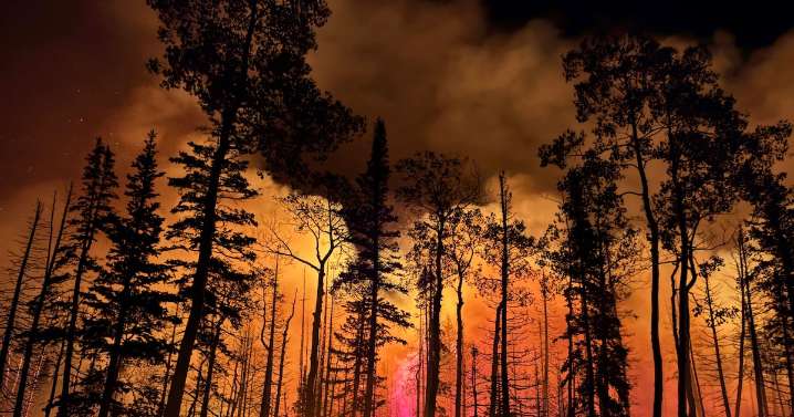 Rural counties in Utah demand better forest management to ward off wildfires