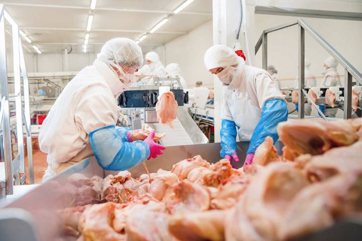 Cost of bacon: Once essential workers in meatpacking during COVID pandemic now face forced deportation