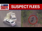 WATCH: Suspect crashes stolen vehicle with kids inside, flees