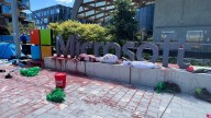 Pro-Palestinian protest at Microsoft leads to 18 arrests