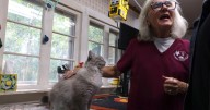 Fox Hollow Animal Project receives $25,000 from local garden tour fundraiser