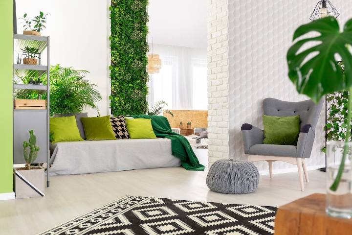 De pared vacía a rincón verde. Paso a paso: cómo hacer un jardín vertical interior