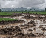 From drought to floods, water extremes drive displacement in Afghanistan