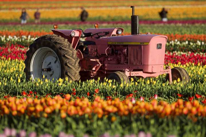 Oregon farmers unite against land-use changes they say could harm agritourism and small