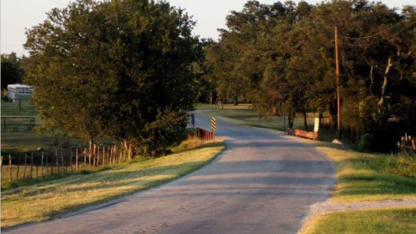 DIANE ADAMS: Slow rhythms and a drive to May in 1894