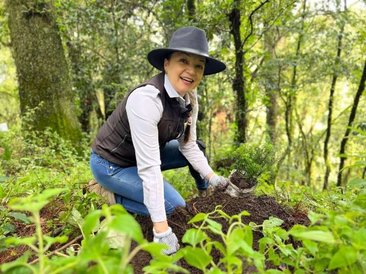 CONCLUYE EXITOSA JORNADA DE REFORESTACIÓN EN SANTA ISABEL CHALMA, GRACIAS AL GOBIERNO DE AMECAMECA