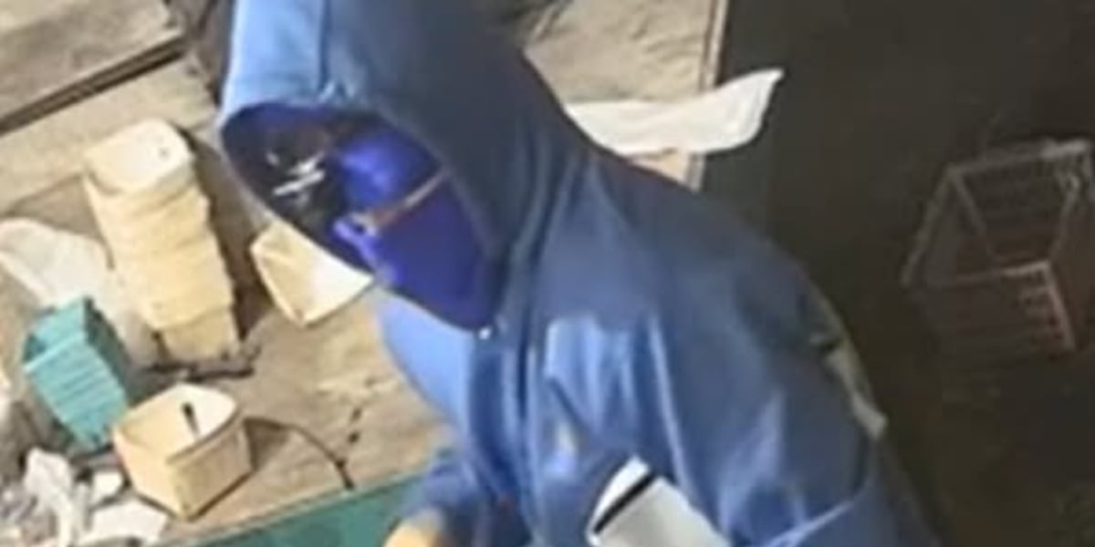 Waterford police seek public’s help to identify burglary suspect