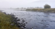 State announces full fishing closure on Big Hole, Jefferson rivers