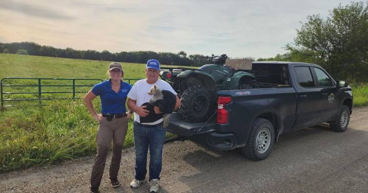 Coffey County dog reunited with owners three miles away from home