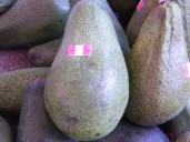 Cadmio en paltas peruanas: Qué es y por qué preocupa en Chile